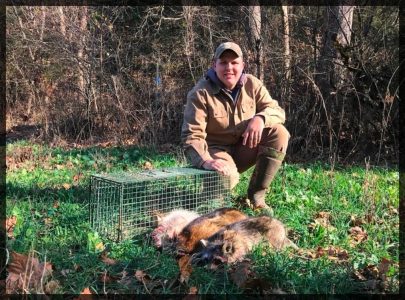 Duke cage trap with opossum and raccoons