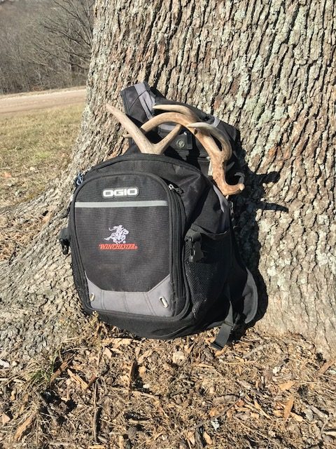 white-tailed buck antlers in backpack