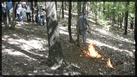 Using a drip torch to set a prescribed fire