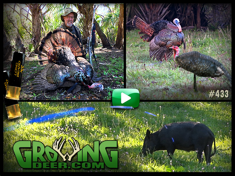 Watch a Florida turkey hunt in GrowingDeer episode 433.