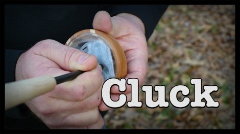  Cluck sound with a Hook’s Custom Calls pot call 