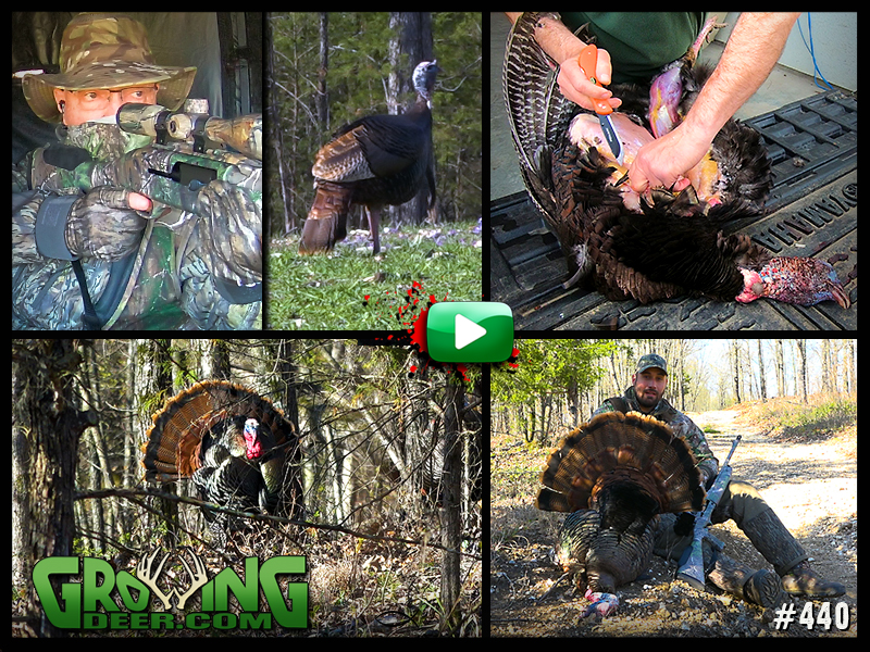 Watch two turkey hunts in GrowingDeer episode 440.