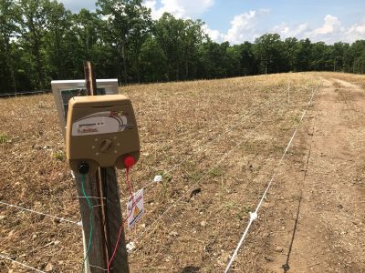 hotzone fence over new food plot