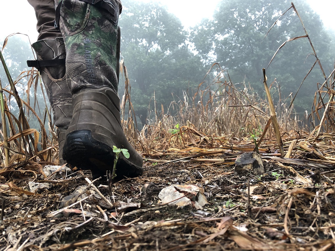ground level view of worker in boots walking in food plot spreading seed