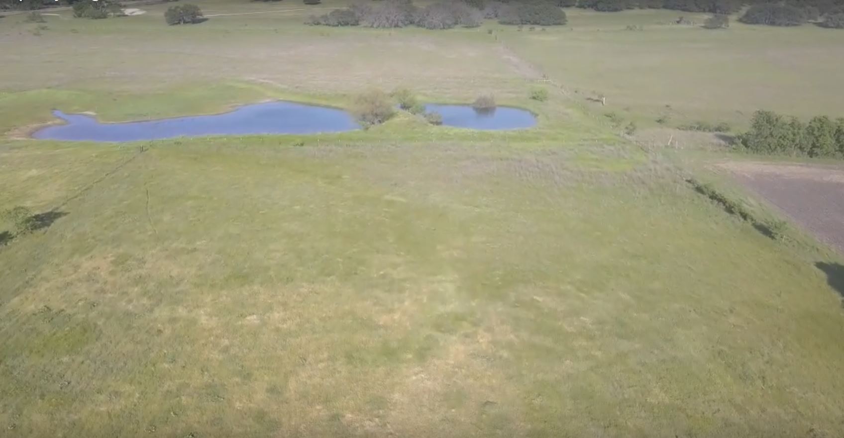 texas pasture with pond