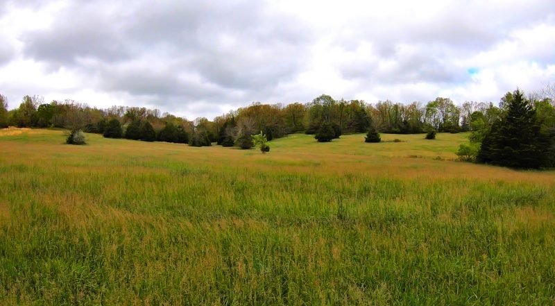 this property had large hay fields