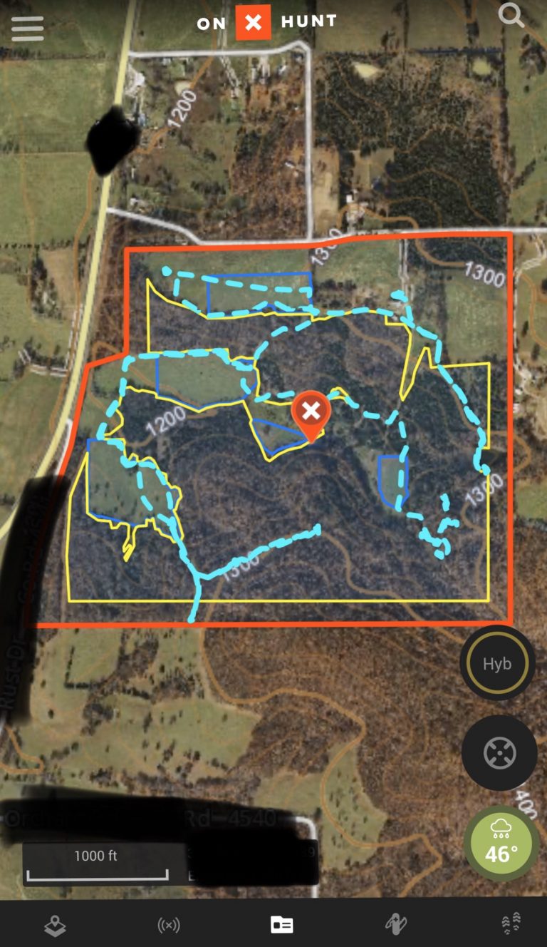 Whitetail Habitat Management • Hunting Advice and Tips For Serious Deer