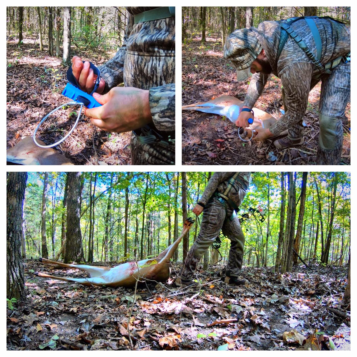 Buck Cuffs Used in the Field to drag deer