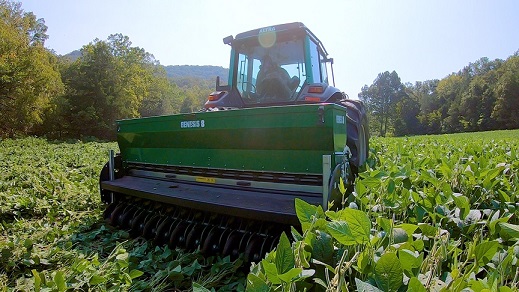 Planting food plots for whitetails using the No-till