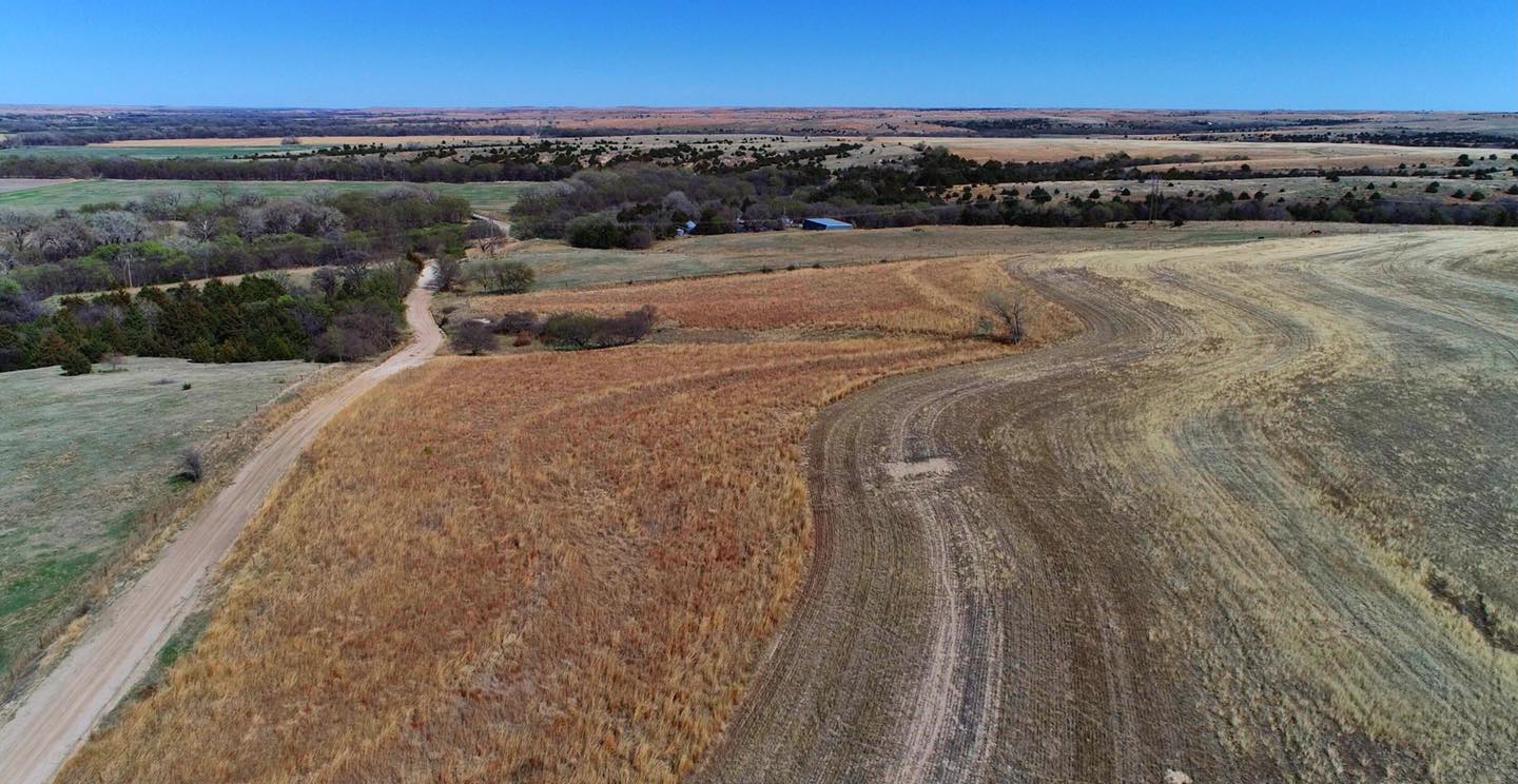 Habitat for deer and wildlife in western kansas